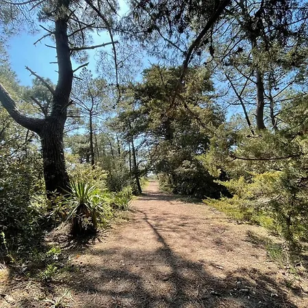 Tatil Evi Maison Confortable A Barbatre, Proche Plage, Animaux Admis - Fr-1-823-110