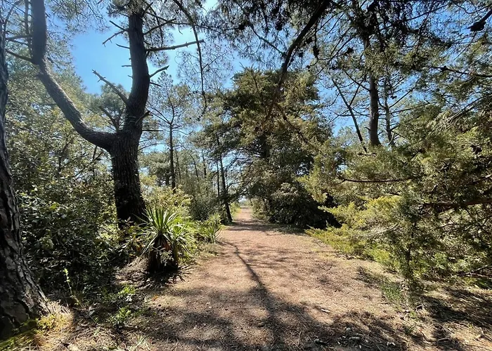 Tatil Evi Maison Confortable A Barbatre, Proche Plage, Animaux Admis - Fr-1-823-110